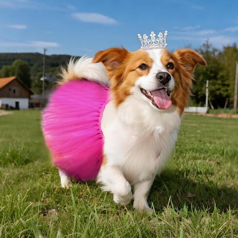 2 PCS Dog Tutu Dress مع Pearl Crown for Small Medium Pet Cat Dog Dog Halloween Assume Fress for Ballet Birthdy Party Photo Photo Prop in Saudi Arabia
