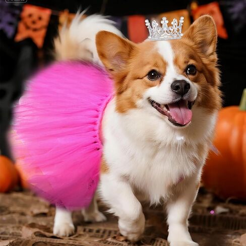 2 PCS Dog Tutu Dress مع Pearl Crown for Small Medium Pet Cat Dog Dog Halloween Assume Fress for Ballet Birthdy Party Photo Photo Prop in Saudi Arabia