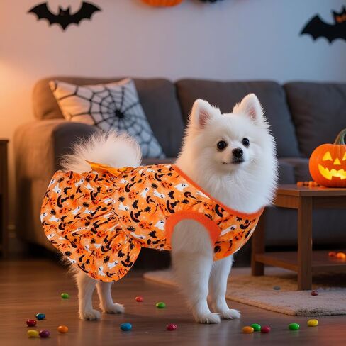 Choyaxo Puppy Dress Doggie in Kuwait
