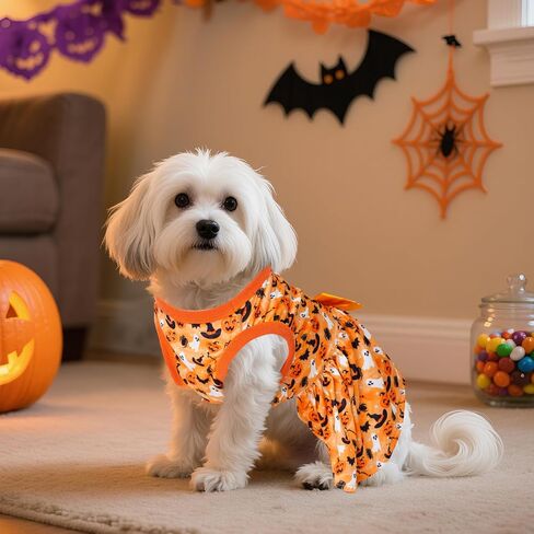 Choyaxo Puppy Dress Doggie in Kuwait