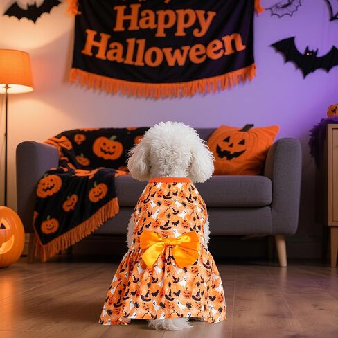 Choyaxo Puppy Dress Doggie in Kuwait
