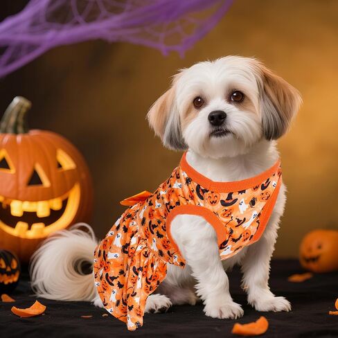 Choyaxo Puppy Dress Doggie in Kuwait