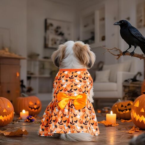 Choyaxo Puppy Dress Doggie in Kuwait