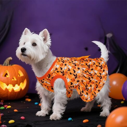 Choyaxo Puppy Dress Doggie in Kuwait
