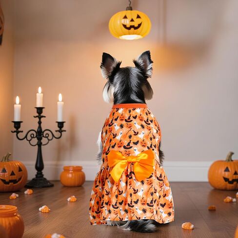 Choyaxo Puppy Dress Doggie in Kuwait