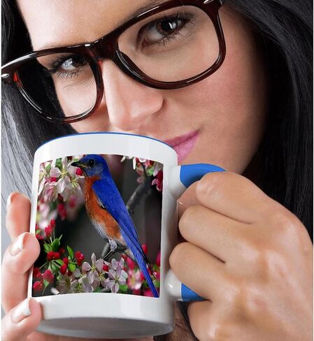 3dRose mug_55198_4 "For Love Of A Beagle" Two Tone Black Mug, 11 oz, Multicolor in Saudi Arabia