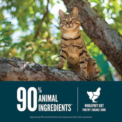 ORIJEN Guardian 8 Grain Free High Protein Premium Dry Cat Food 4lb Bag in Kuwait