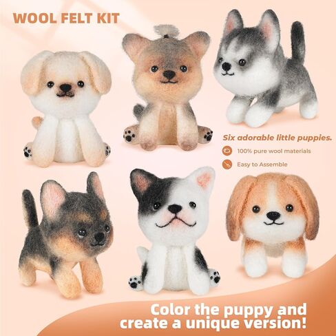 طقم التورط الإبرة Iptek ، 6 قطع القطط التي تصنع طقم مبتذات الإبرة الصوفية مع تعليمات ، ومجموعات التلبيس للمبتدئين ، ومبتدئين إبرة كيت ، ومجموعة الصوف (6 قطط حزمة) in Kuwait