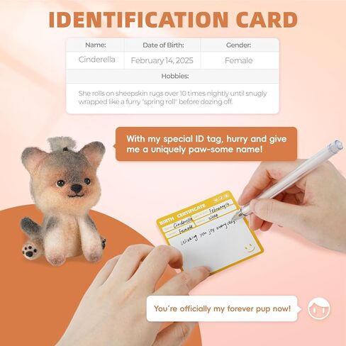 طقم التورط الإبرة Iptek ، 6 قطع القطط التي تصنع طقم مبتذات الإبرة الصوفية مع تعليمات ، ومجموعات التلبيس للمبتدئين ، ومبتدئين إبرة كيت ، ومجموعة الصوف (6 قطط حزمة) in Kuwait