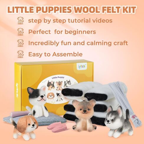 طقم التورط الإبرة Iptek ، 6 قطع القطط التي تصنع طقم مبتذات الإبرة الصوفية مع تعليمات ، ومجموعات التلبيس للمبتدئين ، ومبتدئين إبرة كيت ، ومجموعة الصوف (6 قطط حزمة) in Kuwait