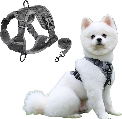 SOLMOONY Small Dog Harness,Soft Mesh Puppy Harness and Leash Set,No Escape Cat Harnesses for Training Walking,Reflective Adjustable Puppy Vest for Small Medium Dogs, Cats (Grey, M) in Kuwait