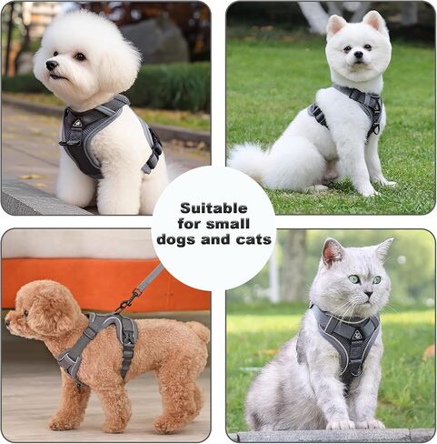 SOLMOONY Small Dog Harness,Soft Mesh Puppy Harness and Leash Set,No Escape Cat Harnesses for Training Walking,Reflective Adjustable Puppy Vest for Small Medium Dogs, Cats (Grey, M) in Kuwait