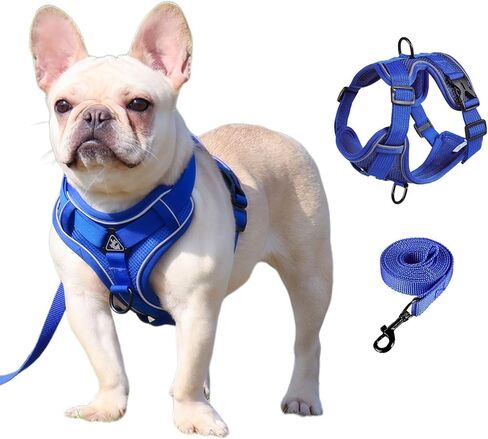 SOLMOONY Small Dog Harness,Soft Mesh Puppy Harness and Leash Set,No Escape Cat Harnesses for Training Walking,Reflective Adjustable Puppy Vest for Small Medium Dogs, Cats (Grey, M) in Kuwait