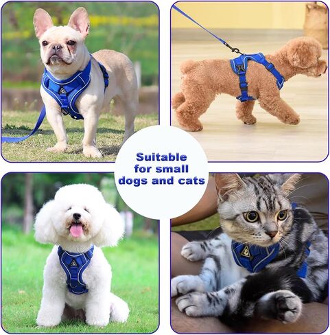 SOLMOONY Small Dog Harness,Soft Mesh Puppy Harness and Leash Set,No Escape Cat Harnesses for Training Walking,Reflective Adjustable Puppy Vest for Small Medium Dogs, Cats (Grey, M) in Kuwait