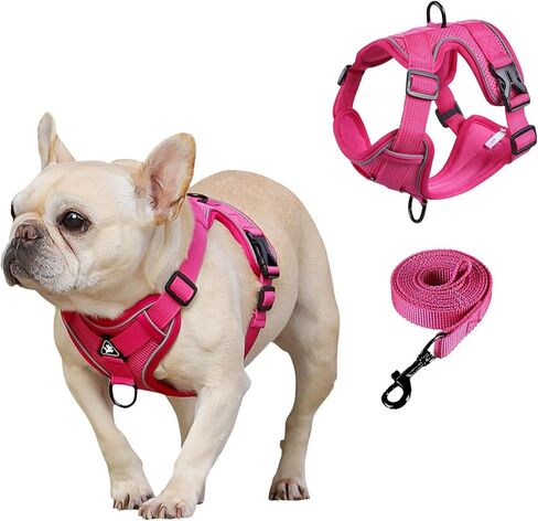 SOLMOONY Small Dog Harness,Soft Mesh Puppy Harness and Leash Set,No Escape Cat Harnesses for Training Walking,Reflective Adjustable Puppy Vest for Small Medium Dogs, Cats (Grey, M) in Kuwait