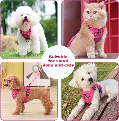 SOLMOONY Small Dog Harness,Soft Mesh Puppy Harness and Leash Set,No Escape Cat Harnesses for Training Walking,Reflective Adjustable Puppy Vest for Small Medium Dogs, Cats (Grey, M) in Kuwait