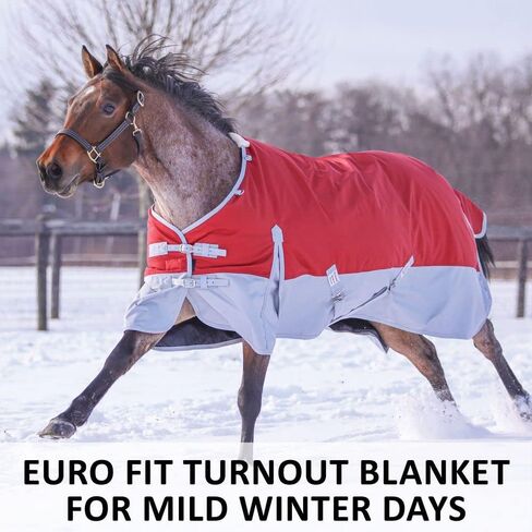 Dura-Tech Viking Horse Shape | فتح الجبهة مع 2 مشبك | مقاومة للماء ، مقاومة للرياح وتنفس | Criss-Cross Surcingle | بطانية حصان الشتاء in Kuwait