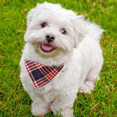 Beige & Navy Plaid Cotton Dog Bandana - وشاح ثلاثي قابل للتعديل للحيوانات الأليفة الأولاد والبنات ، ناعمة وأنيقة ، متوسطة in Saudi Arabia