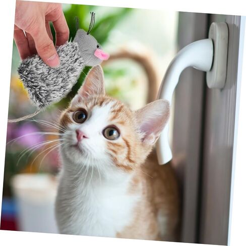 Hemoton 3Pcs Interactive Cat Biting Plush Molar Playthings for Pets Soft Cat Teaser Loneliness Promotes Exercise and Fun Playtime in Saudi Arabia