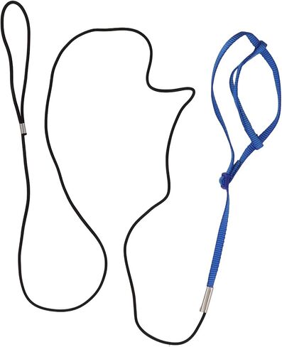 ببغاء تسخير المقود | قابل للتعديل ودعم - حبل تحلق للطيور/الببغاوات | الهروب - تصميم خطاف إثبات | حبل الجر النايلون خفيف الوزن (XL) in Kuwait