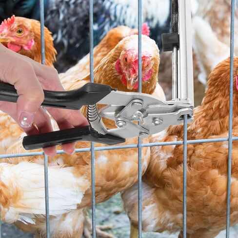 Milisten 1set Shaped Nail Pliers Kit for Assembling Chicken and Bird Cages Includes Resistant Nails for Easy Repairs and Fastening of Fencing and Enclosures in Saudi Arabia