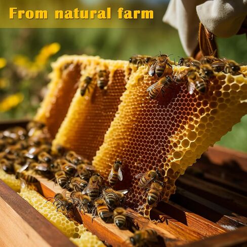 Yellow Beeswax Pellets 2LB, Organic Beeswax, Beeswax for Candle Making, Body, Skin Care DIY, Lip Balm and Soap Making Supplies(32oZ) in Saudi Arabia