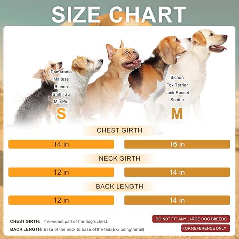 Beautyzoo الكلاسيكية بلوديك للكلاب للكلاب الصغيرة فتاة ، ملابس كلب مع ربطة عنق وتنورة ، فستان جرو للكلاب الإناث ، ملابس عيد ميلاد عيد ميلاد لشيه تزو يوركي تشيهواهوا الأميرة in Kuwait