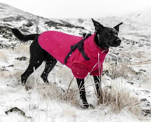 Lelepet Dog Coat 3 in 1 Waterproof Dog Winter Jacket with Harness Built in Windproof Snow Jakcet with Detachable Fleece Sweater Lining Reflective Thermal Cold Weather Coats for Small Medium Large Dogs in Kuwait