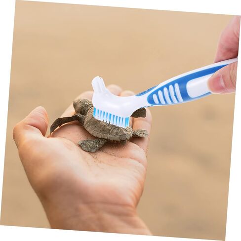 فرشاة Happyyyami Turtle Cleaning Cleaning فرشاة متينة مزدوجة لقذائف السلحفاة المائية سهلة الاستخدام مع قبضة مريحة لإزالة الطين والأوساخ من قذائف السلاحف in Kuwait