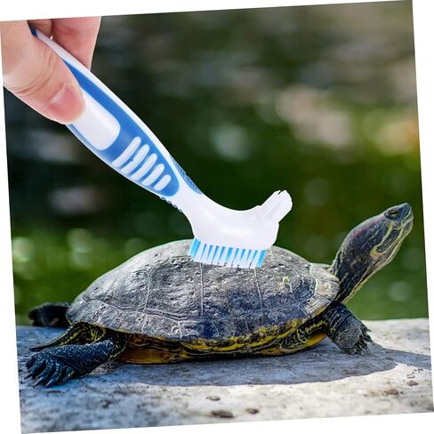 فرشاة Happyyyami Turtle Cleaning Cleaning فرشاة متينة مزدوجة لقذائف السلحفاة المائية سهلة الاستخدام مع قبضة مريحة لإزالة الطين والأوساخ من قذائف السلاحف in Kuwait