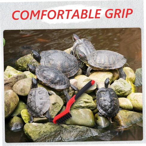 منظف ​​السلاحف 6pcs: خدوش السلحفاة الخلفية ، فرشاة قشرة نظيفة ، فرشاة السلحف in Kuwait
