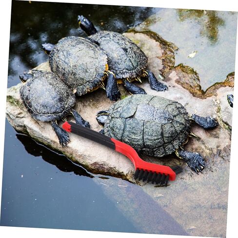 منظف ​​السلاحف 6pcs: خدوش السلحفاة الخلفية ، فرشاة قشرة نظيفة ، فرشاة السلحف in Kuwait