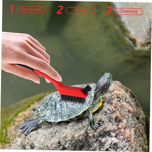 منظف ​​السلاحف 6pcs: خدوش السلحفاة الخلفية ، فرشاة قشرة نظيفة ، فرشاة السلحف in Kuwait