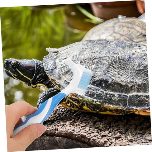 POPETPOP Double-Sided Turtle Shell Cleaning Brush 2pcs Portable Tortoise Care Tool for Removing Dirt and Mud Soft Bristles for Safe Shell Cleaning in Saudi Arabia