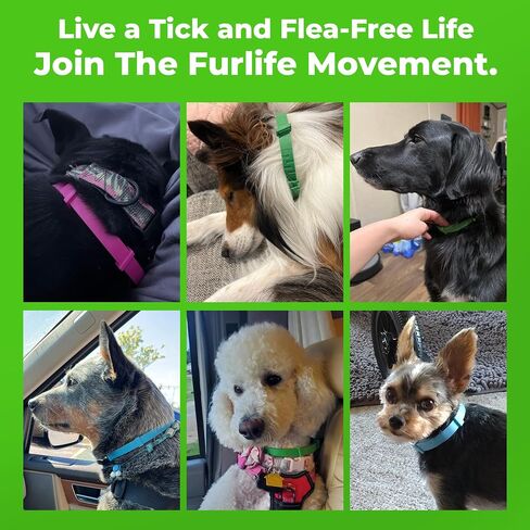 FurLife Flea and Tick Collar for Dogs – Waterproof Blue Dog Collar, Pet Supplies for Tick and Flea Prevention for Dogs, Safe for All Breeds in Saudi Arabia