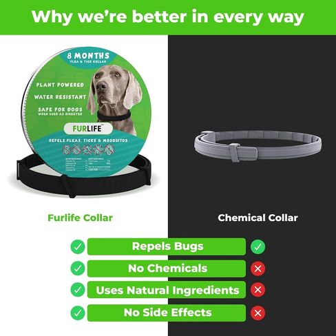 FurLife Flea and Tick Collar for Dogs – Waterproof Blue Dog Collar, Pet Supplies for Tick and Flea Prevention for Dogs, Safe for All Breeds in Saudi Arabia