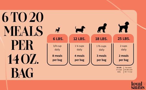 Freeze Dried Raw Dog Food - Premium Beef Flavor with High Protein and Grain Free Dog Food for Small or Large Breeds and Picky Eaters - Versatile as Meal Topper, Snack, and Treats, 5 Oz in Saudi Arabia