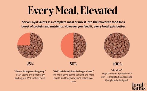 Freeze Dried Raw Dog Food - Premium Beef Flavor with High Protein and Grain Free Dog Food for Small or Large Breeds and Picky Eaters - Versatile as Meal Topper, Snack, and Treats, 5 Oz in Saudi Arabia