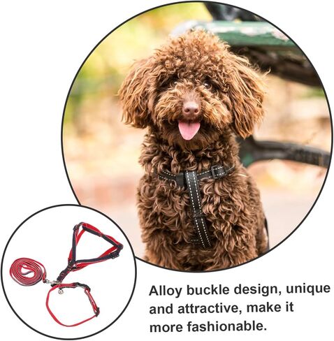 VANZACK 3PCS PET Traction Rope Set Sturdy Denim Dog Leash for Medium to Small Dogs and Cats Waterproof Pulling Rope Chest Strap for Safe Outdoor Walking in Saudi Arabia