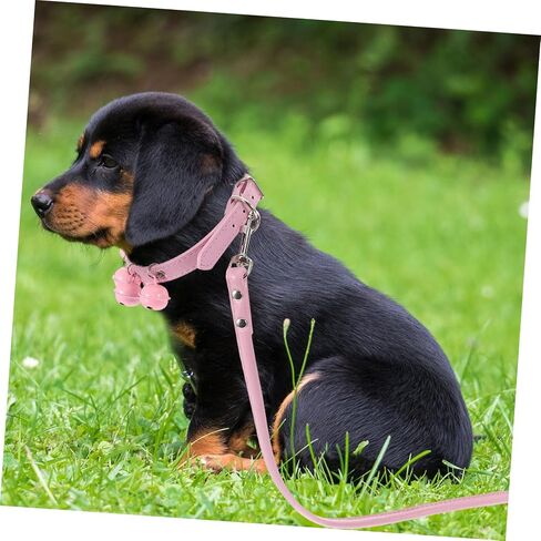 Pet Cat Dog Cold Leash with Bell Pink Pulling Rope للاستخدام اليومي لممارسة رياضات الحيوانات الأليفة في الهواء الطلق للكلاب القطط in Saudi Arabia