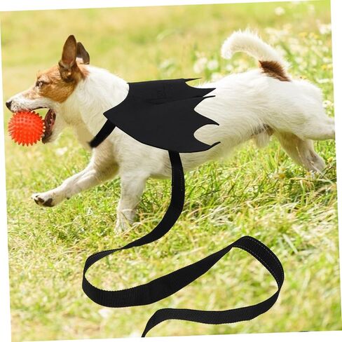 Pet Leash Cat Vest Harness with Bat Wing Design Back Chest Strap for Halloween Unique and Attractive Cat Supplies in Saudi Arabia