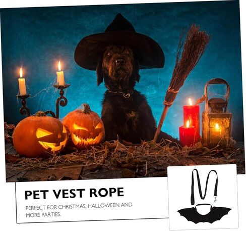 Pet Leash Cat Vest Harness with Bat Wing Design Back Chest Strap for Halloween Unique and Attractive Cat Supplies in Saudi Arabia