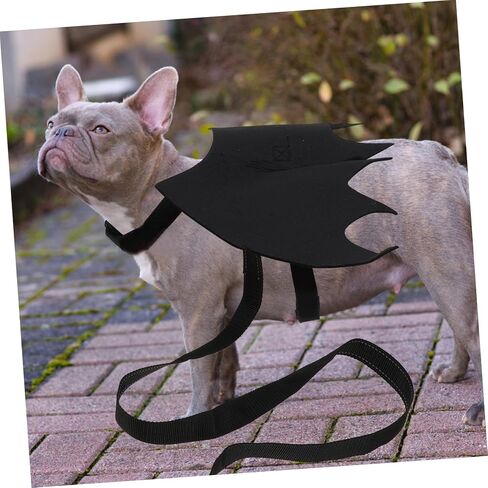 Pet Leash Cat Vest Harness with Bat Wing Design Back Chest Strap for Halloween Unique and Attractive Cat Supplies in Saudi Arabia