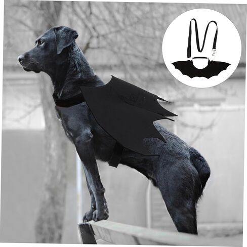 Pet Leash Cat Vest Harness with Bat Wing Design Back Chest Strap for Halloween Unique and Attractive Cat Supplies in Saudi Arabia