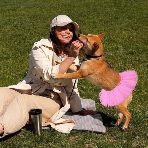 تول توتو للكلاب ، الباليه الكلب أزياء تنورة فساتين جرو الأميرة ملابس الملابس للملابس للمتوسطة الصغيرة الكلب الكلب حفل زفاف الصور اللوازم الدعامة (الوردي الساخن) in Kuwait