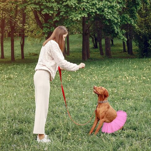 تول توتو للكلاب ، الباليه الكلب أزياء تنورة فساتين جرو الأميرة ملابس الملابس للملابس للمتوسطة الصغيرة الكلب الكلب حفل زفاف الصور اللوازم الدعامة (الوردي الساخن) in Kuwait