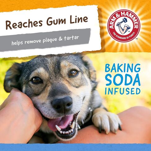 Arm & Hammer for Pets Nubbies TriBone Dog Dental Toy Best Dog Chew Toy for Moderate Chewers Dog Dental Toy Helps Reduce Plaque & Tartar Peanut Butter Flavor Baking Soda (Pack of 1) in Saudi Arabia