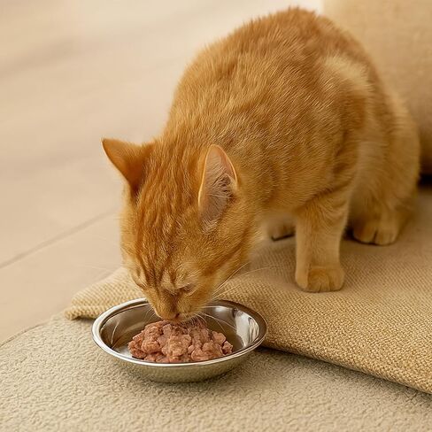 24 Pcs Stainless Steel Cat Bowls, Shallow Metal Pet Dishes, Cat Food Water Dishes Replacement Whisker Fatigue Kitten Food Bowl, 5.3 Inch Diameter, for Cats Dogs Small Animals in Kuwait