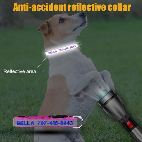 Reflective Personalized Dog Collar - Custom Embroidered Dog Collars with Pet Name and Phone Number for Boy and Girl Dogs, 4 Adjustable Sizes, XSmall,Small, Medium and Large in Kuwait
