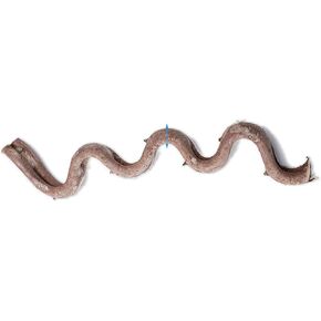 Reptile Climbing Branch Decor, Snake Climb Branch, Terrarium Decorations,Chameleon Cage Accessories, for Gecko Bearded Dragons Snake,Frogs (Length 30CM) in Kuwait